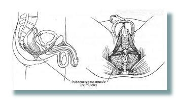 Click image for larger version

Name:	images (27) (1).jpg
Views:	1
Size:	34.5 KB
ID:	13707