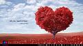 Click image for larger version

Name:	17-1.jpg
Views:	1
Size:	199.8 KB
ID:	23694
